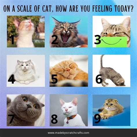 7 Animal scales ideas to save today | how are you feeling, feelings ...
