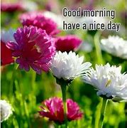Image result for Good Morning Happy First Day of Spring