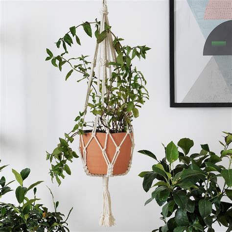 Indoor Pots For Plant - Buy indoor plant pots online at affordable ...