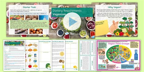 Dietary Requirements: Veganism Lesson Pack (teacher made)