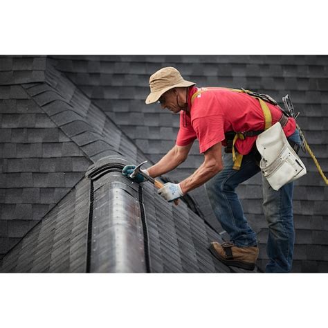 GAF Cobra Snow Country Advanced 13.7-in x 48-in Black Plastic Stick ...