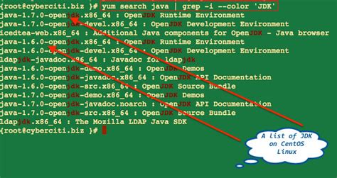 Manage Multiple Java Versions CentOS 的图像结果