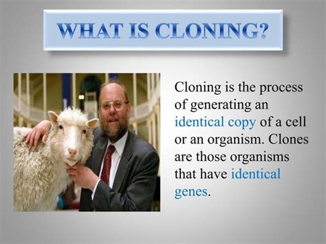 Cloning 的图像结果