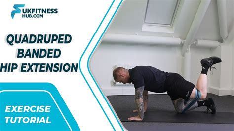 Image result for Hip Tutorial