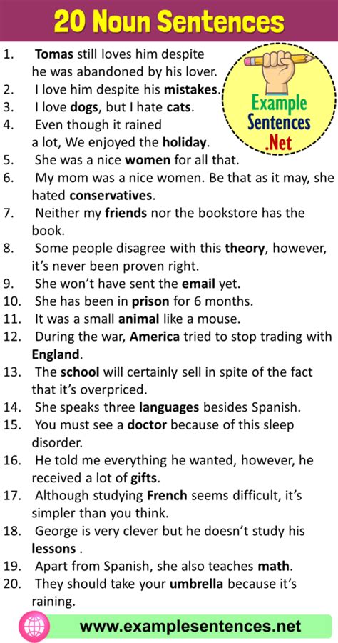 20 Examples of Noun Sentences, Noun Sentences Examples - Example Sentences