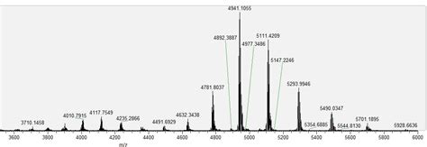 Intact Protein Deconvolution Chromeleon 的图像结果