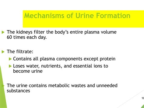 Physiology of Renal system GFR URINE FORMATION | PPTX - mechanism of urine formation ppt
