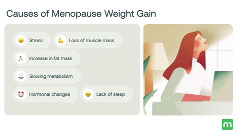 Perimenopause Weight Gain: Causes, Risks & How to Take Control – Mira ...