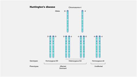 Huntington's Disease