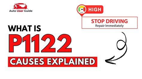 P1122 Code 的图像结果