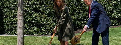 Image result for YouTube Trump Exploding Trees