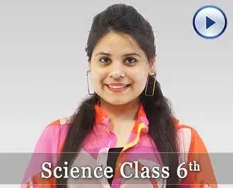 School NCERT, Bihar, Maharashtra, UP, MP Board & Sarkari Exam