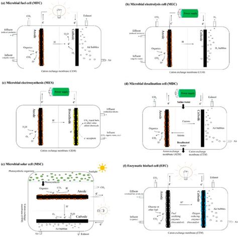 Energies | Special Issue : Biological Fuel Cells and Their Applications
