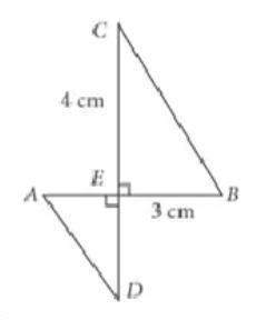 ankita wants to make a toran for diwali using some pieces of cardboard ...