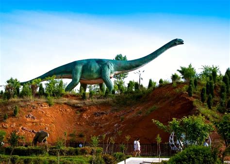 2024河源恐龙博物馆游玩攻略,特别是馆藏16000多枚恐龙蛋化...【去哪儿攻略】