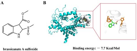 Potential Candidate Molecule of Photosystem II Inhibitor Herbicide ...
