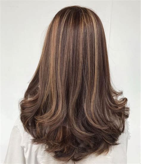 Pin by zum ミ☆ on hair in 2025 | Light brown hair, Hair streaks, Long ...