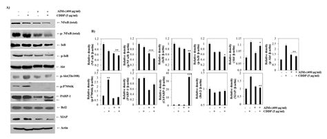 Anthocyanins Isolated from Vitis coignetiae Pulliat Enhances Cisplatin ...
