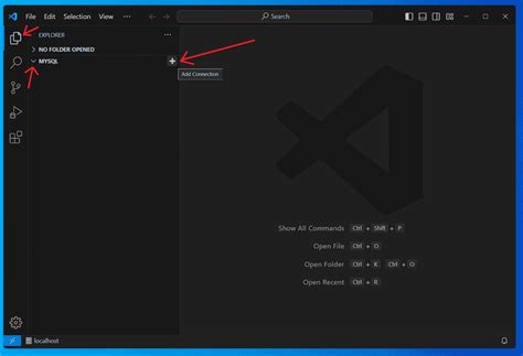 +How Install MySQL in Vscode 的图像结果
