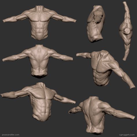 References anatomy