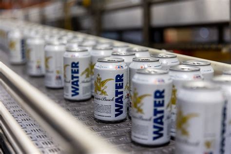 Busch Beer Alcohol Content