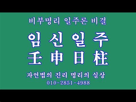 09 비부명리 일주론, 임신일주壬申日柱 - YouTube