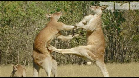 Image result for Example of String Pyhton Codes
