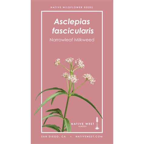 California Native Wildflower Seed Mix — Native West Nursery ...