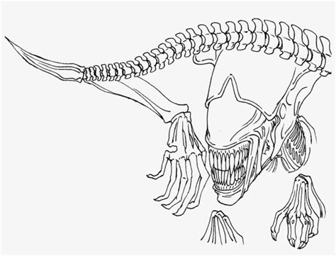 Alien Queen Drawing 的图像结果