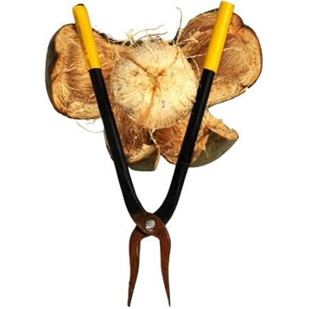 GONATURS Manual Iron Coconut Husk Peeler Remover - Dehusker Machine ...