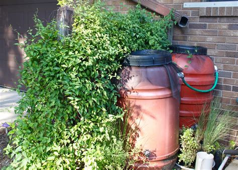 Rain Barrel Installation