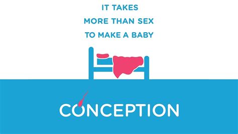 Image result for Conception 2005