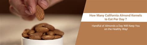 Nutraj Premium Raw California Almonds Whole Value Pouch Pack 1Kg | 100% ...