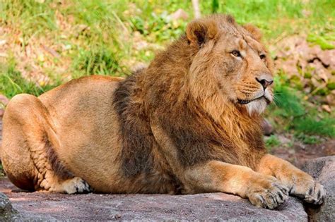 Places To Visit In Mumbai Sanjay Gandhi National Park Sanjay Gandhi ...