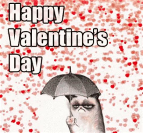 Funny Valentines Day GIFs | GIFDB.com