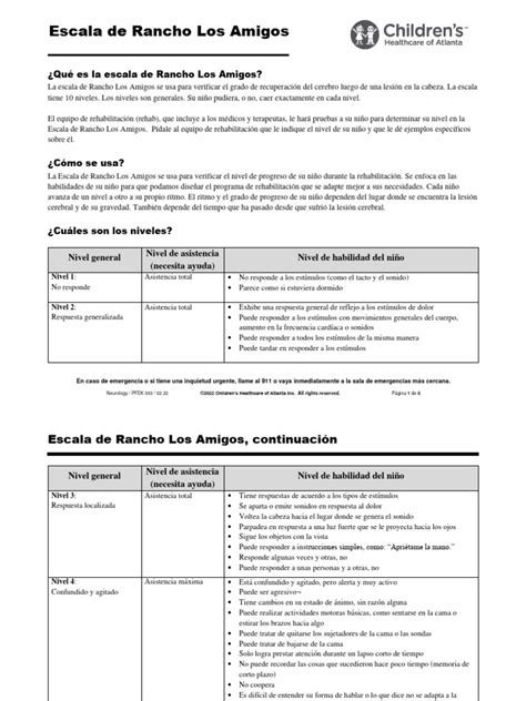 Escala Rancho Los Amigos: Niveles y Uso | PDF | Memoria | Cerebro