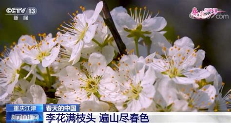春和景明 万物勃发 一起感受春天中国的大美与活力_广州日报大洋网