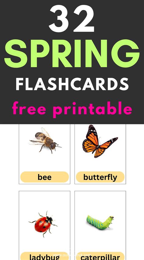 Spring FlashCards 的图像结果
