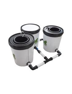 DWC-Systeme für maximale Erträge zuhause