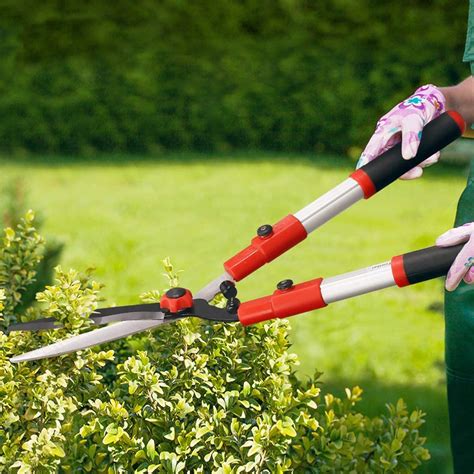 Image result for Best Laser Tree Branch Cutter