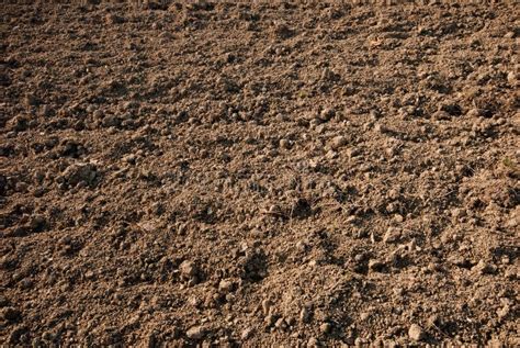 Ground Loop Currents 的图像结果