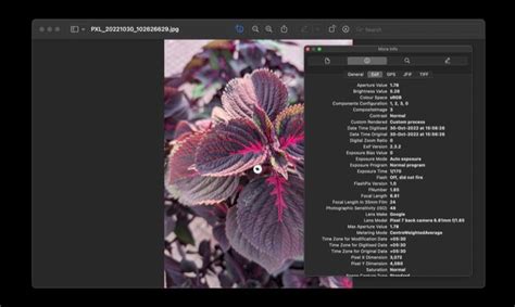EXIF Metadata 的图像结果