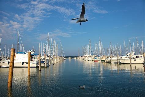 Image result for Examples of Autonomous State