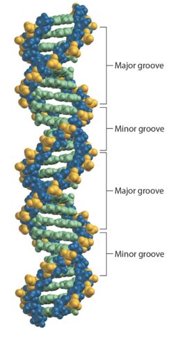 Image result for DNA Microarray Device