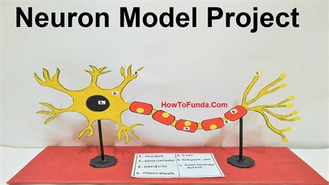 Image result for Neuron Project with Thread