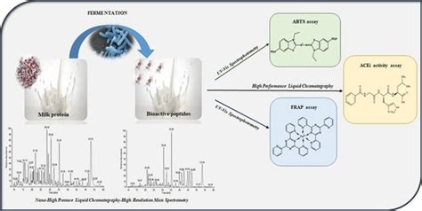 Chromatographic Characterization and In Vitro Bioactivity Evaluation of ...