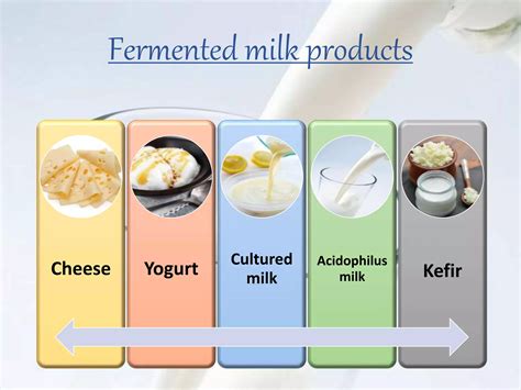 Fermented milk products | PPTX