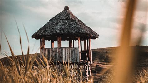 Download wallpaper 3840x2160 hut, building, wooden, grass 4k uhd 16:9 ...