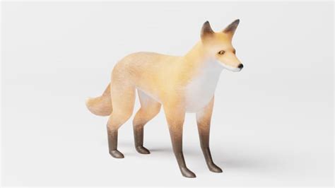 3D Model: Mammals - Red Fox (teacher made) - Twinkl