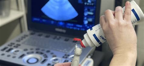 Veterinary Abdominal Ultrasound Training for Every Skill Level, COVE ...